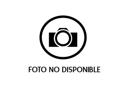 Palabras del director - 